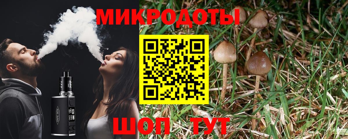 Галлюциногенные грибы GOLDEN TEACHER Ангарск