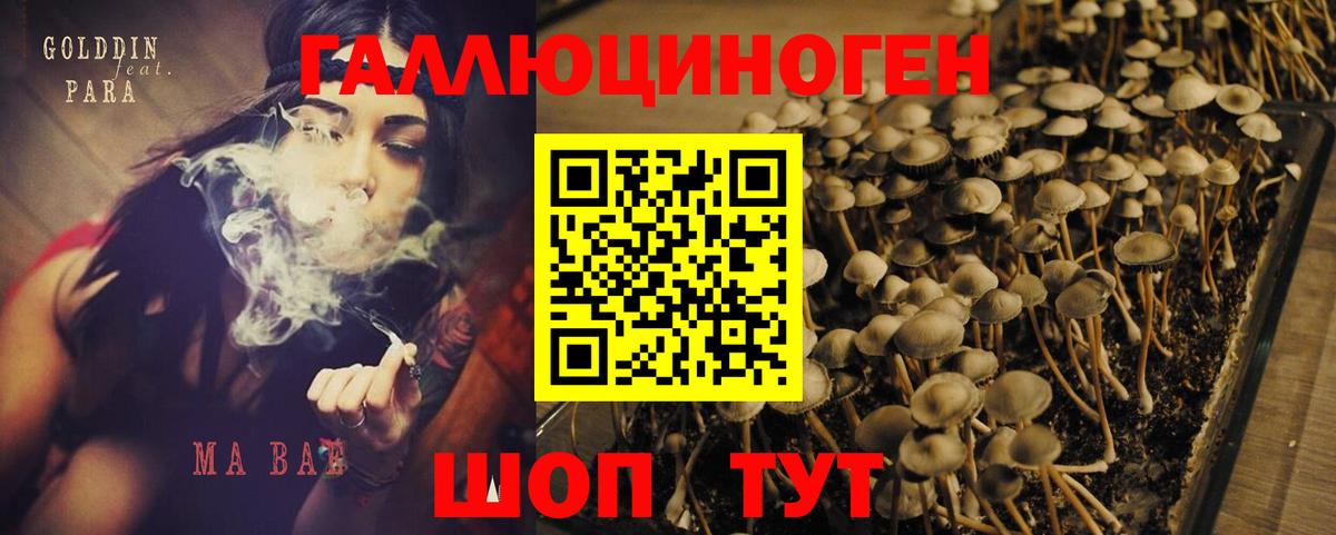 Ангарск  закладки  Вход с VPN  Псилоцибиновые грибы Psilocybe  Галлюциногенные грибы мицелий 